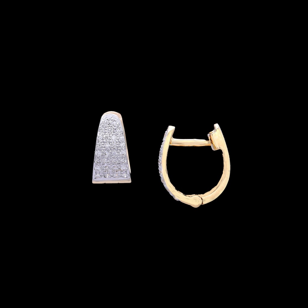 Earring 22