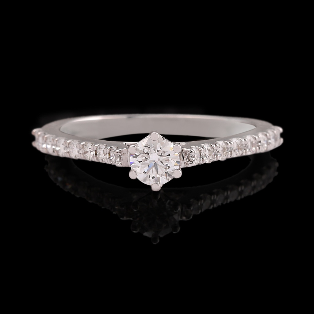 Ring 13